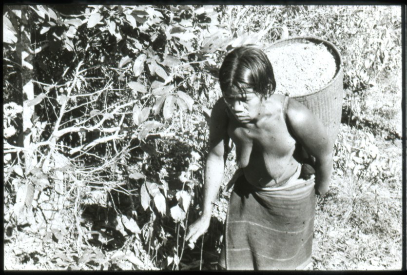 A Jarai woman carrying a tall woven basket on her back