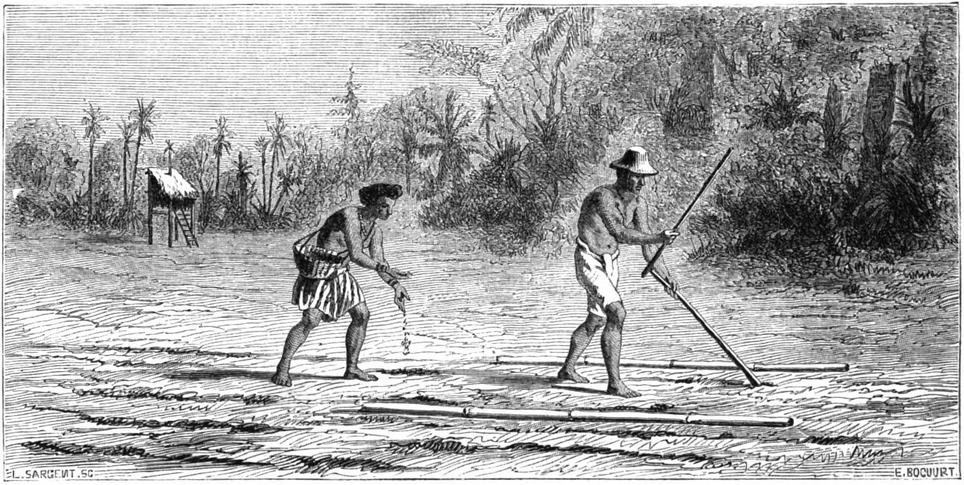 An engraving of two Stieng men in a cleared field among felled logs, one making holes with a long stick, the other dropping seed