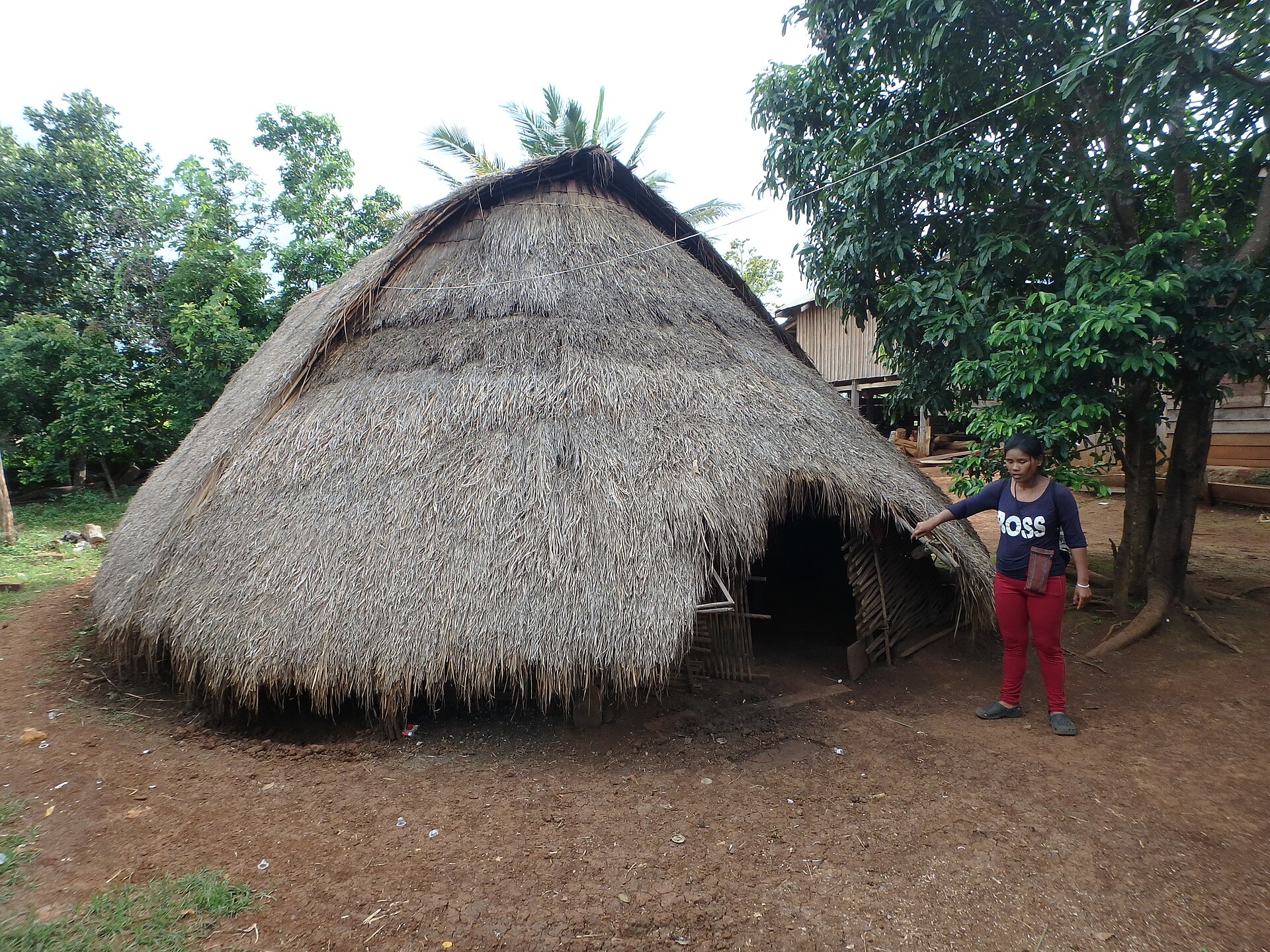 A low thatched Bunong house whose roof almost reaches the ground