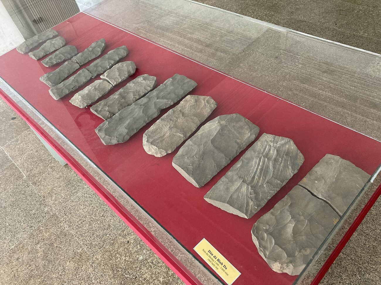 A row of shaped stone bars laid out in a museum case