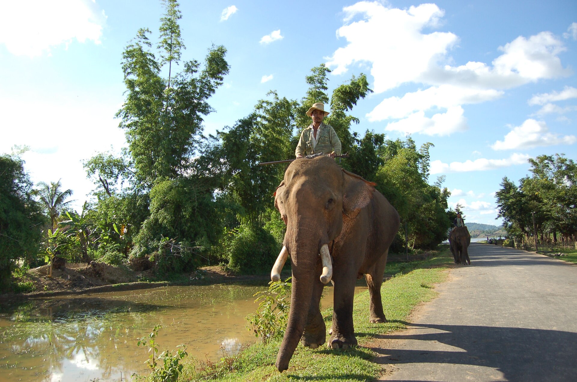 A man riding on the neck of an elephant through water