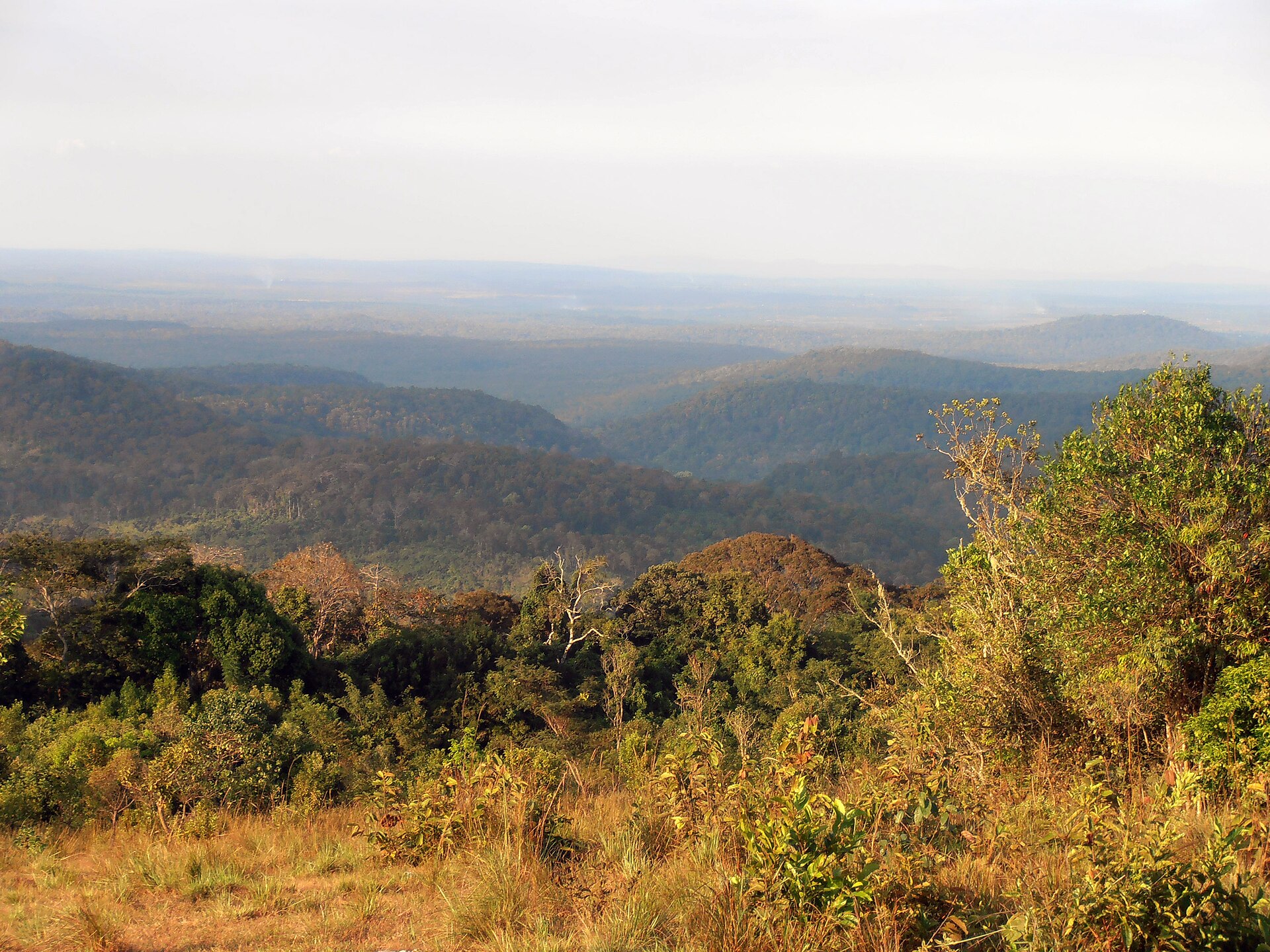A view over forested hills and grassland under a hazy sky